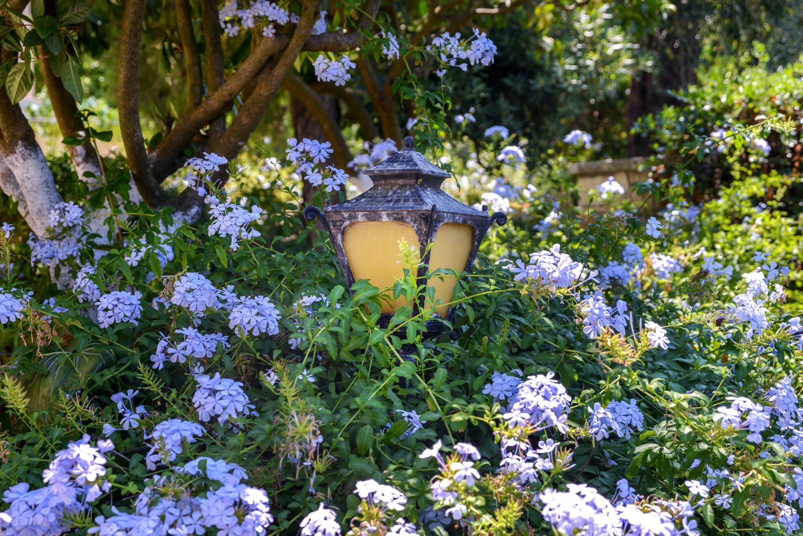 andrikos-studios-paxos-garden-18